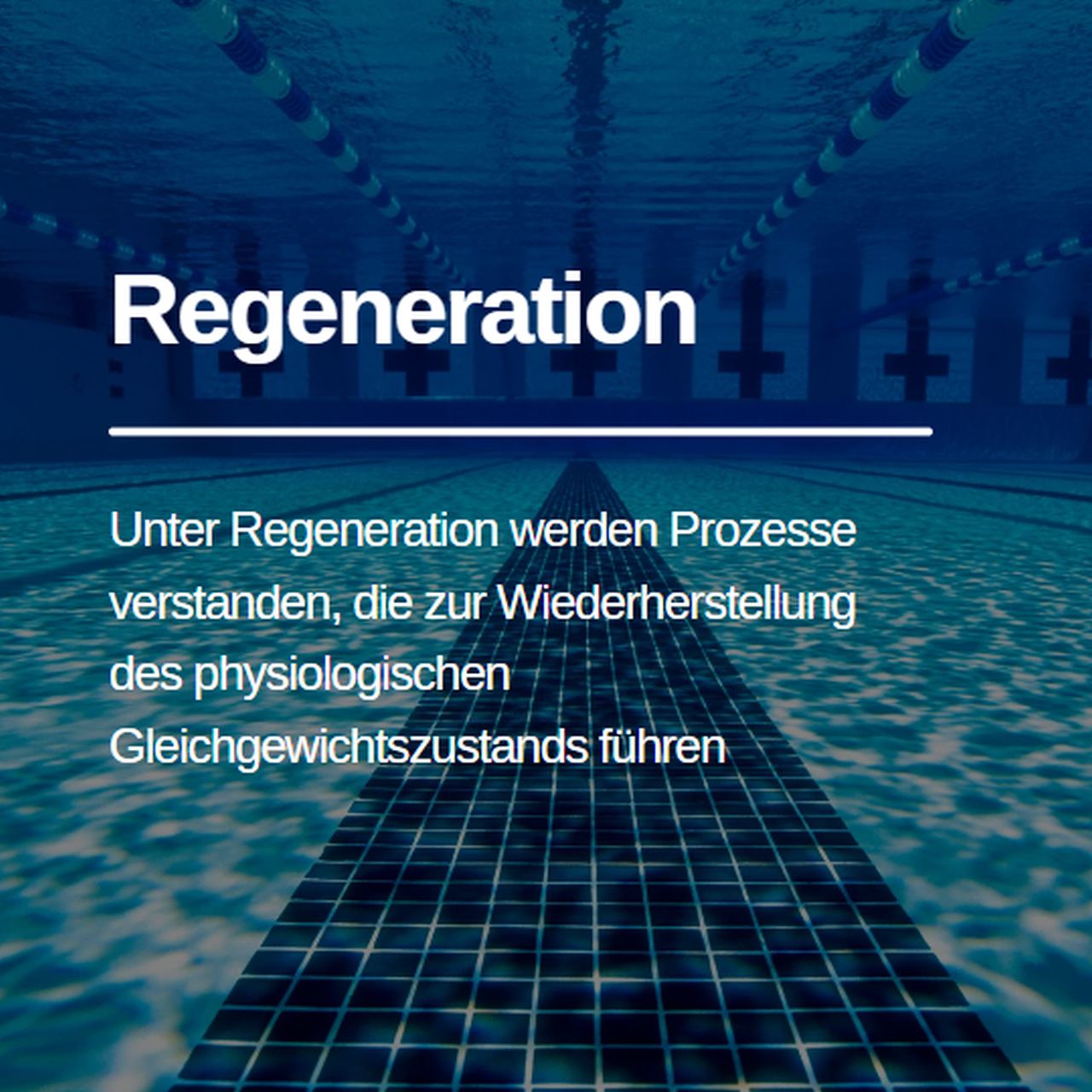 Read more about the article Regeneration