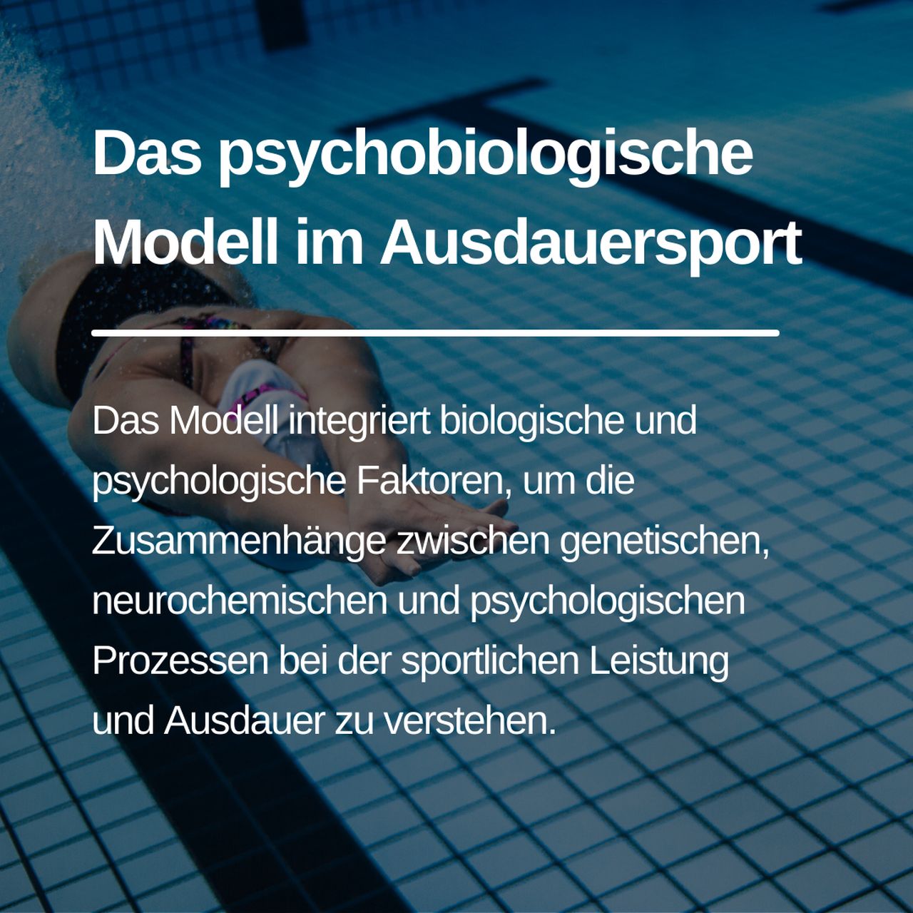 Read more about the article Das psychobiologische Modell im Ausdauersport