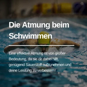 Mehr über den Artikel erfahren Effektive Atmung beim Schwimmen