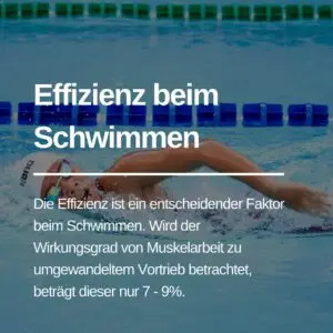 Mehr über den Artikel erfahren Die Effizienz im Schwimmen