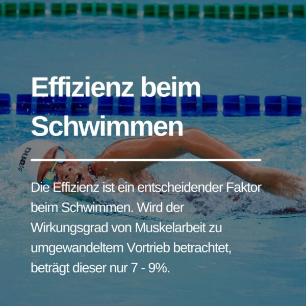 Die Effizienz ist ein entscheidender Faktor beim Schwimmen. Wird der Wirkungsgrad von Muskelarbeit zu umgewandeltem Vortrieb betrachtet, beträgt dieser nur 7 - 9%.