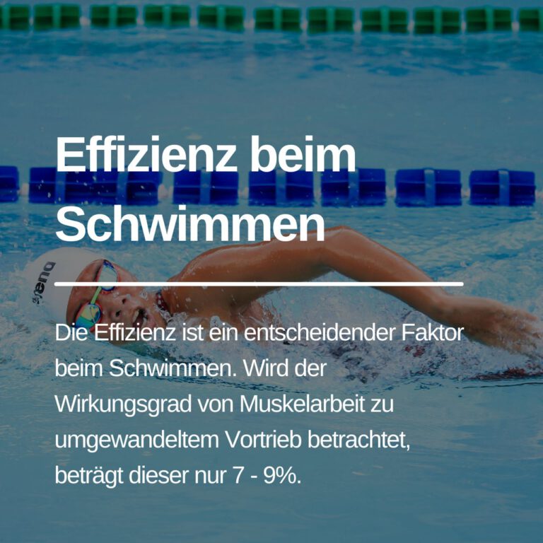 Read more about the article Die Effizienz im Schwimmen