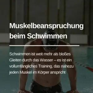 Mehr über den Artikel erfahren Welche Muskeln trainiert Schwimmen?