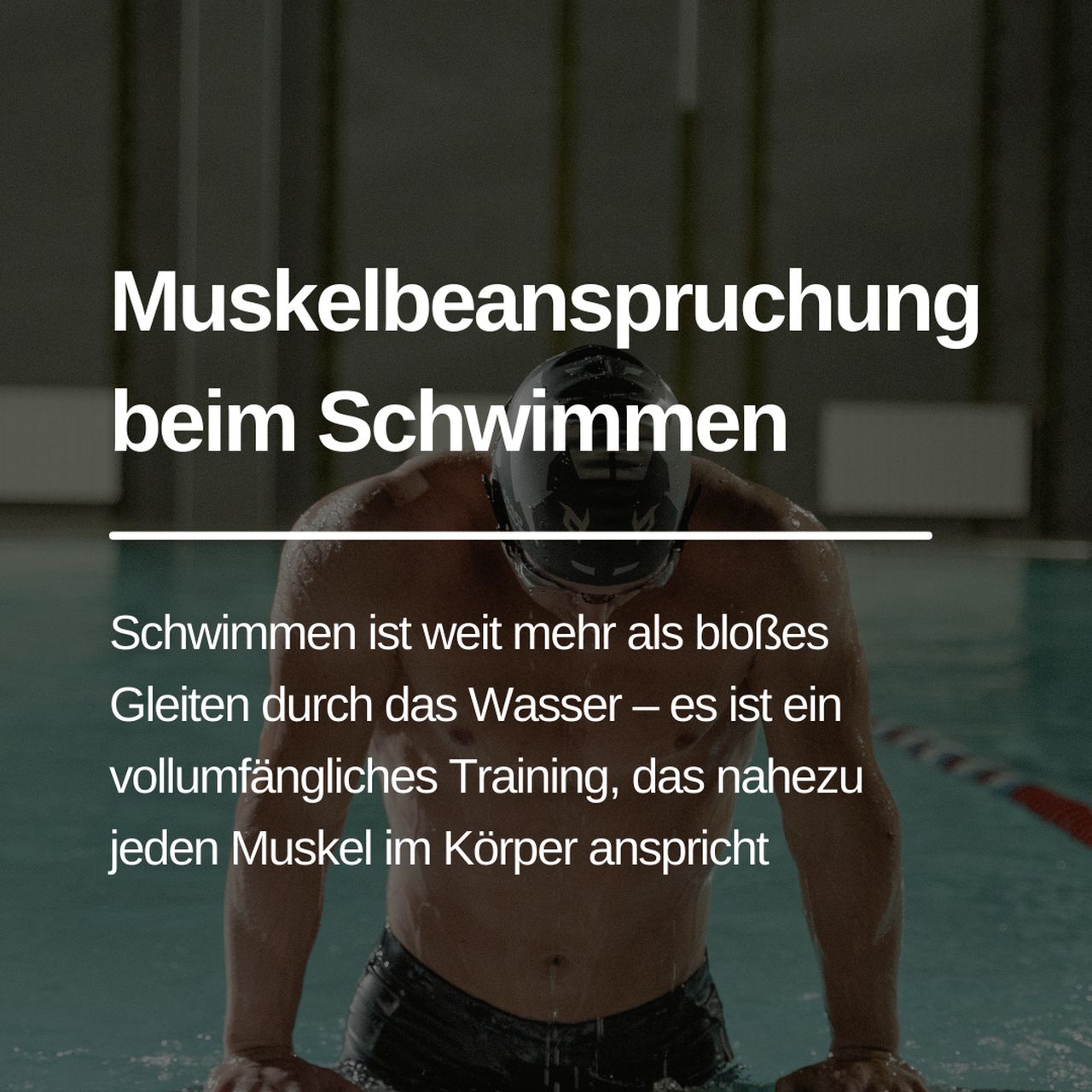 Read more about the article Die Kraft des Wassers: Einblicke in die Muskelbeanspruchung beim Schwimmen